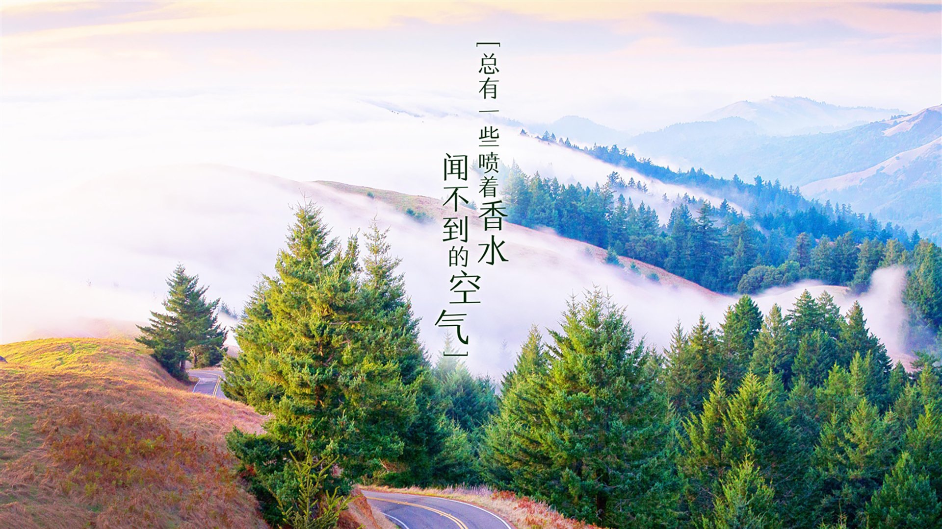 天津女排主场再胜八一，朱婷状态回暖独得28分，朱娜天津女排