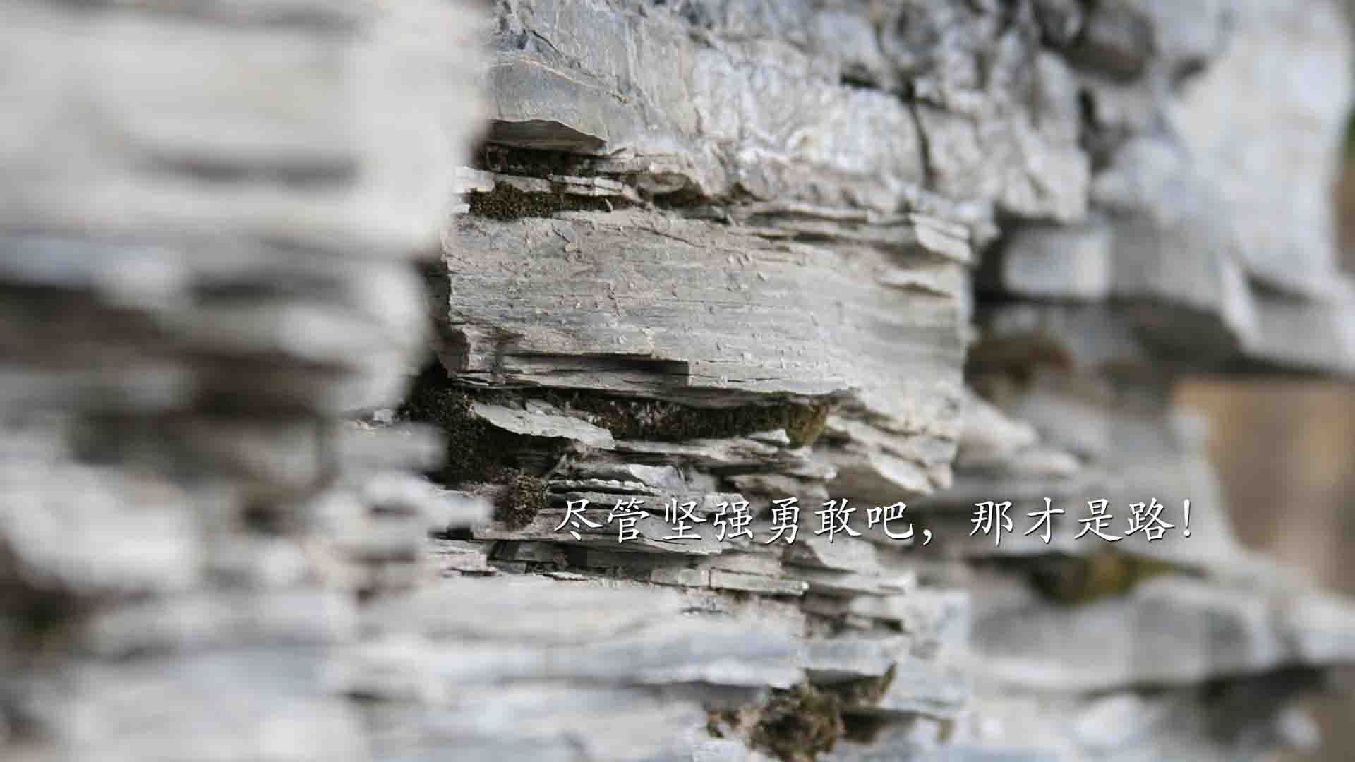 篮球专项体能训练课程体系设计，篮球专项体能训练方案