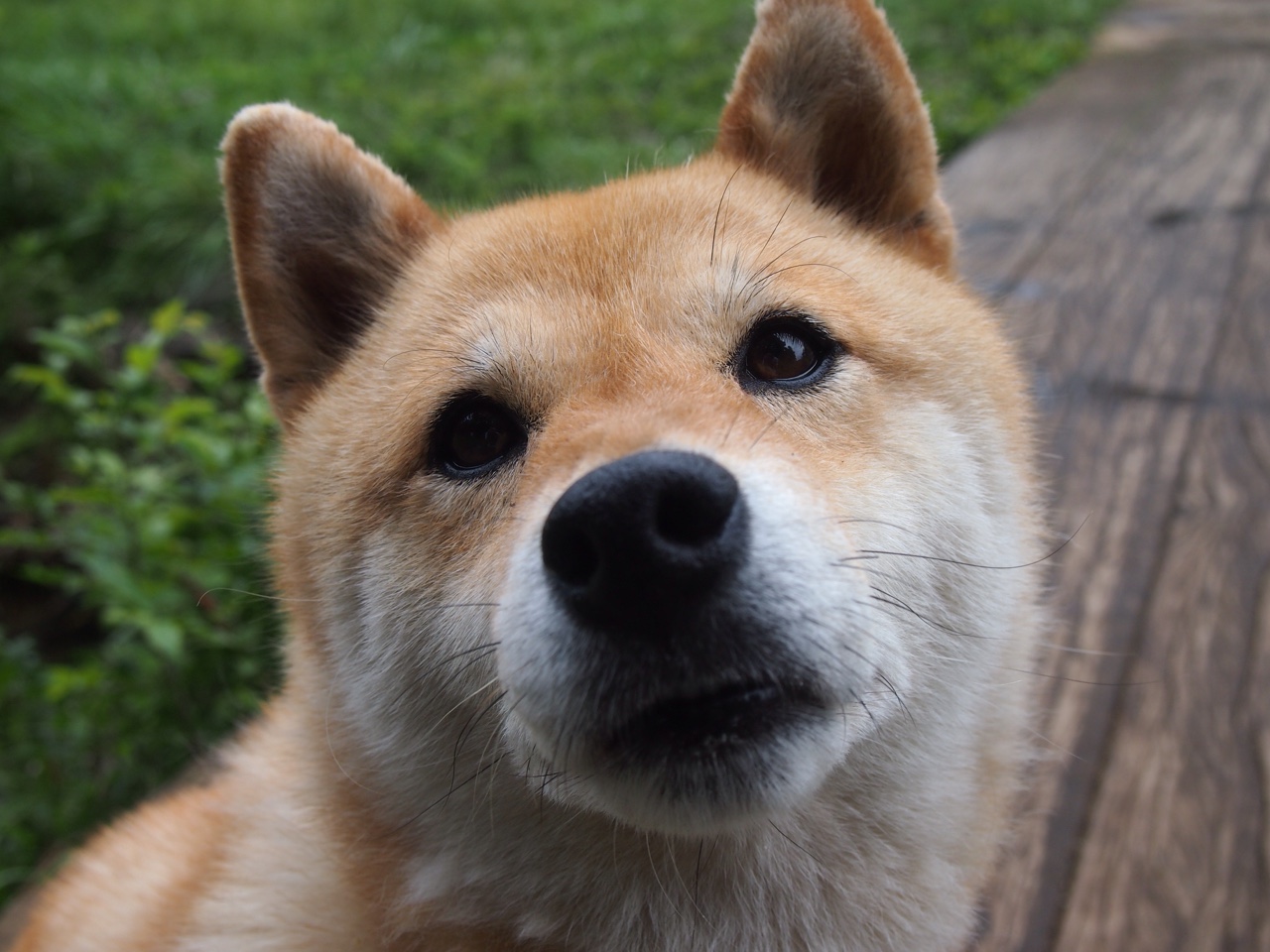 乐鱼体育-中国三人篮球男队战术多样灵活，中国三人篮球队员