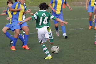 乐鱼电竞-体育新闻中心发布体育内容原创度评估智能工具，原创体育sports