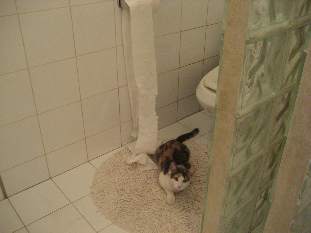 乐鱼体育登录-外援替代本土核心形成恶性循环