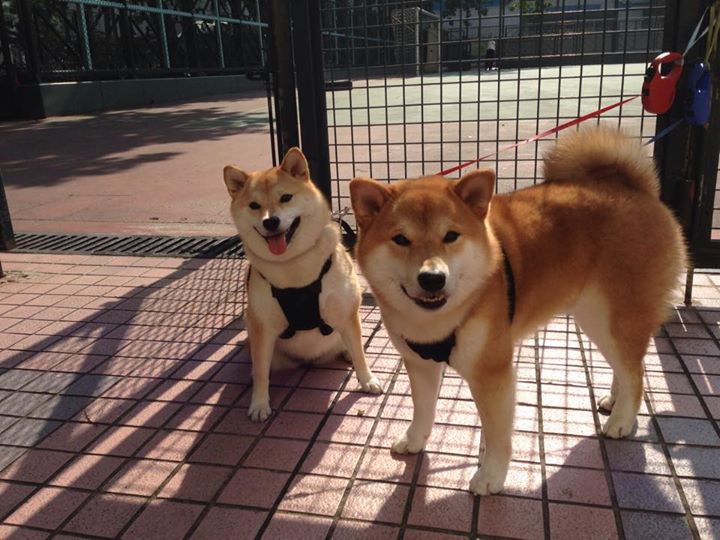 乐鱼（中国）体育官方网站-得分核心是否应掌控节奏主导权