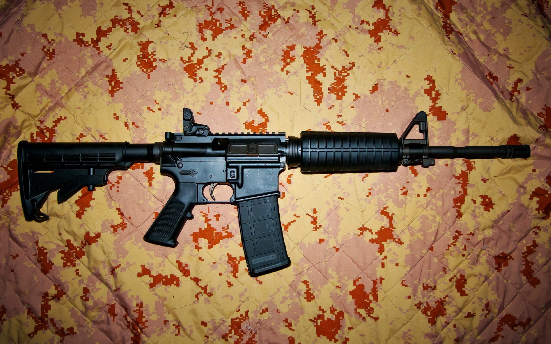 搏击项目发展论坛聚焦市场化与安全性,搏击俱乐部的市场定位