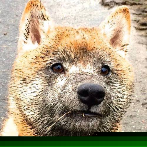 滑板新星再获国际大奖 文化与运动结合受肯定，滑板 艺人