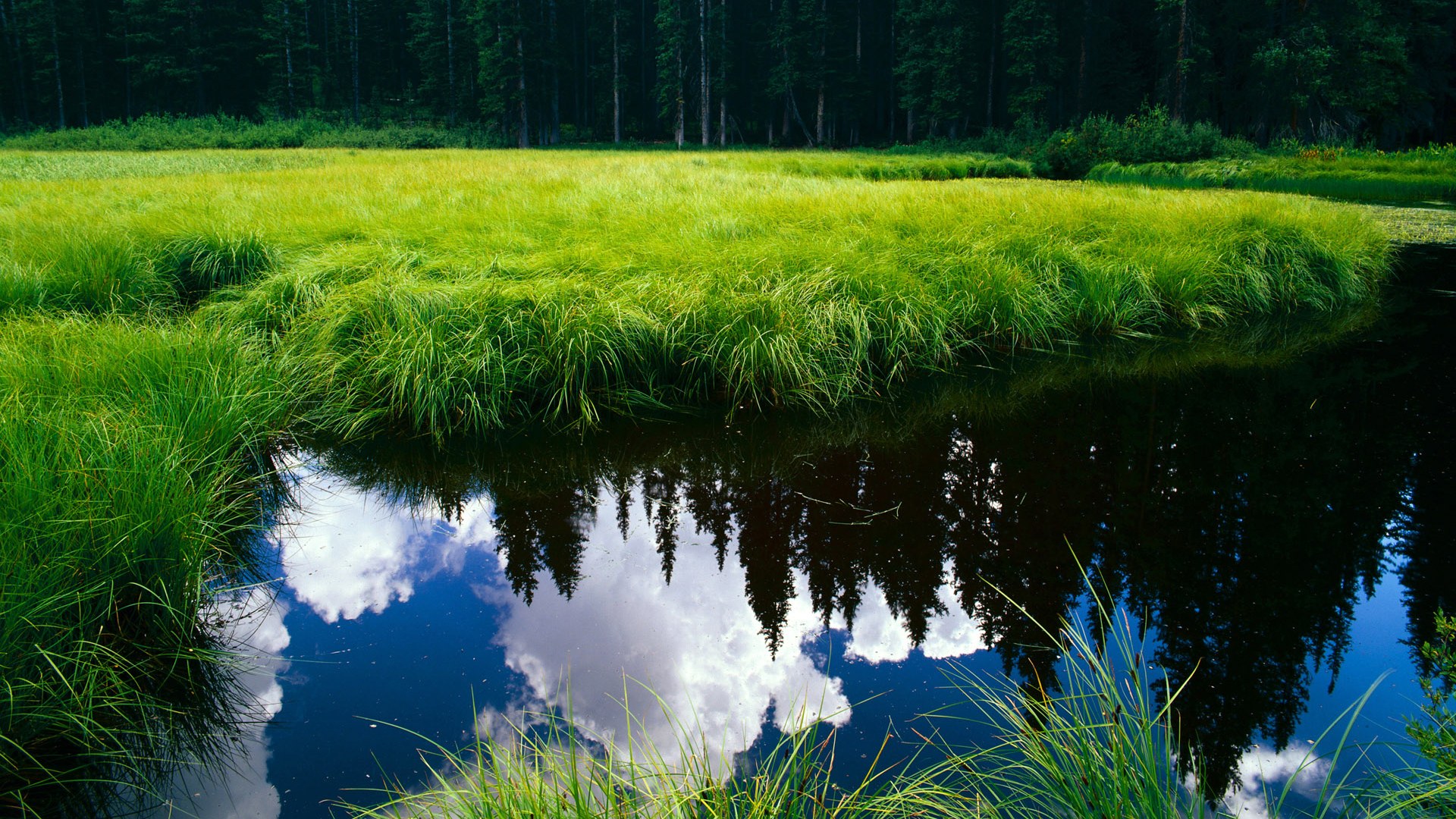 乐鱼体育App下载-边锋突破次数是否与中路传球比例呈反向波动，边锋 升级