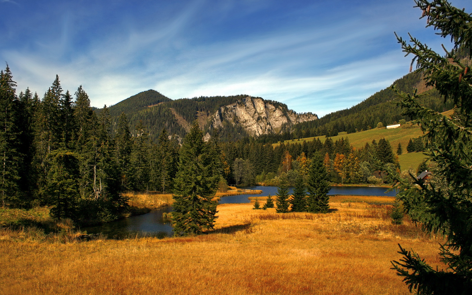 乐鱼体育平台官网-阿尔及尔国内联赛水平显著提升国家队后备力量，阿尔及尔规划