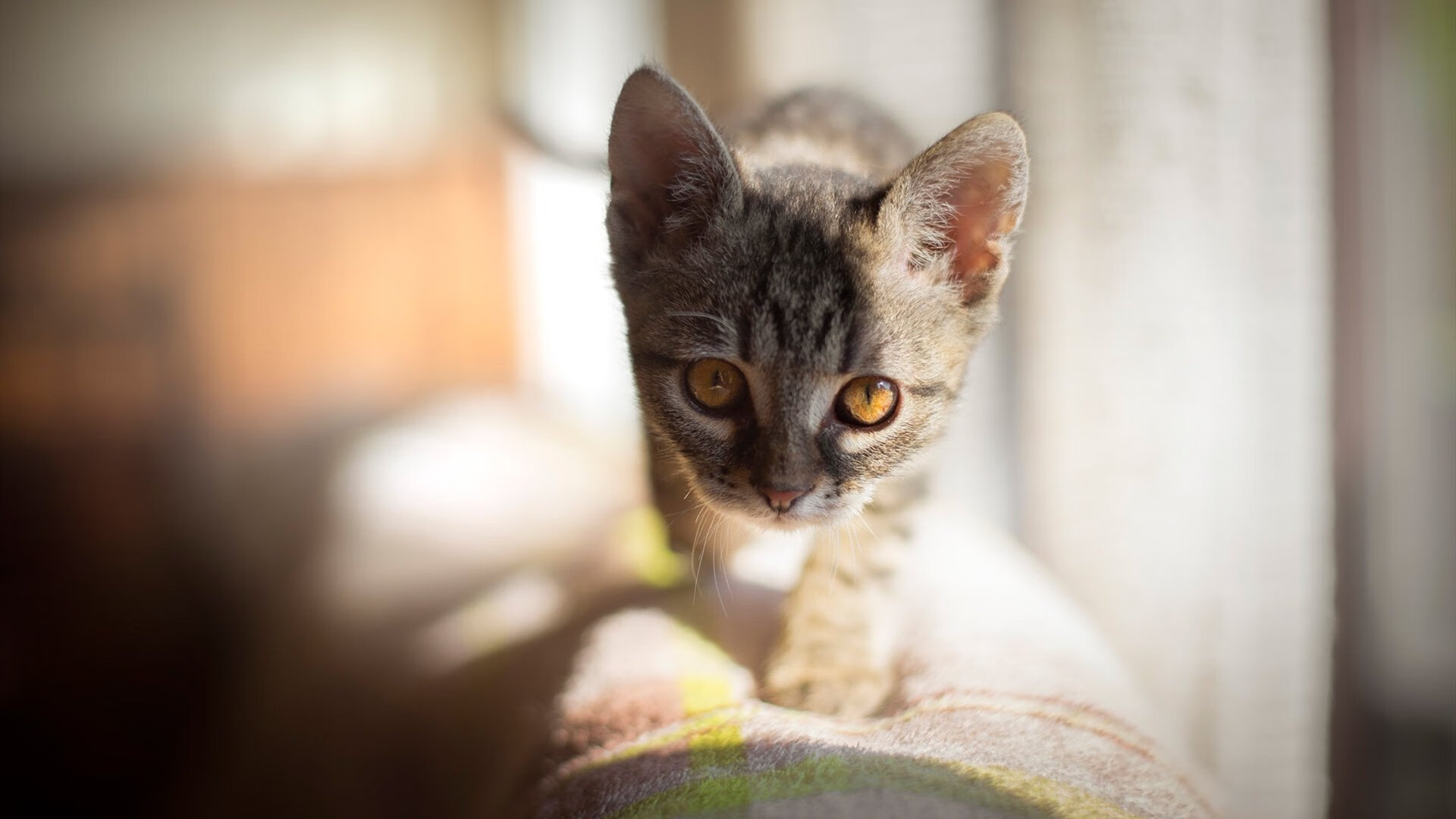 乐鱼（中国）体育官方网站-球员伤病潮来袭，俱乐部应对压力大，球员伤病有工资吗