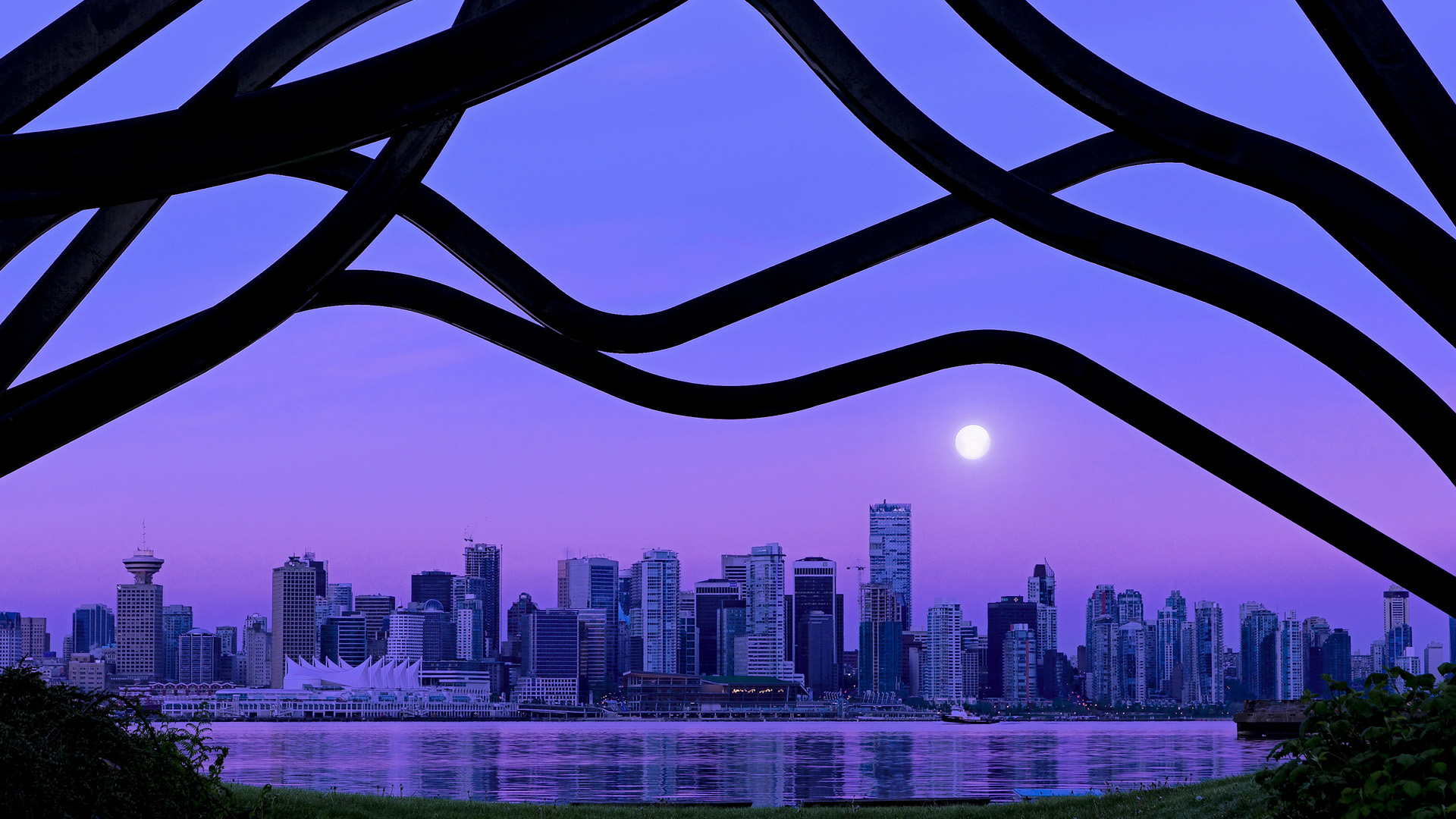 乐鱼官网-苏炳添称希望未来从事体育教育工作，苏炳添体育生涯