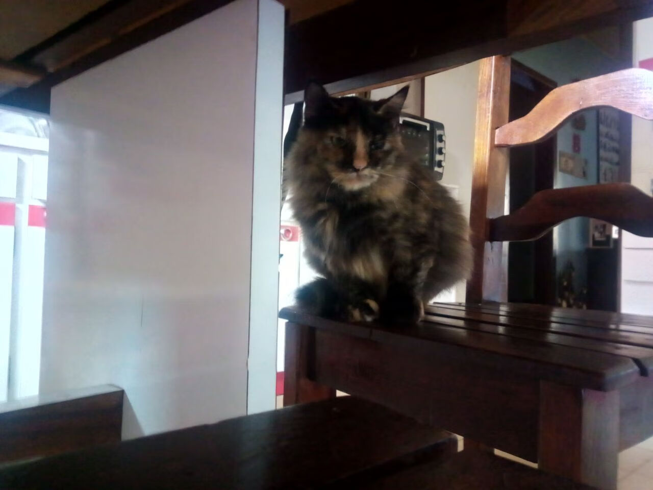 Leyu Sports (乐鱼体育)-青少年足球教练员培训体系不断完善，提高教学水平，青少年足球培训内容