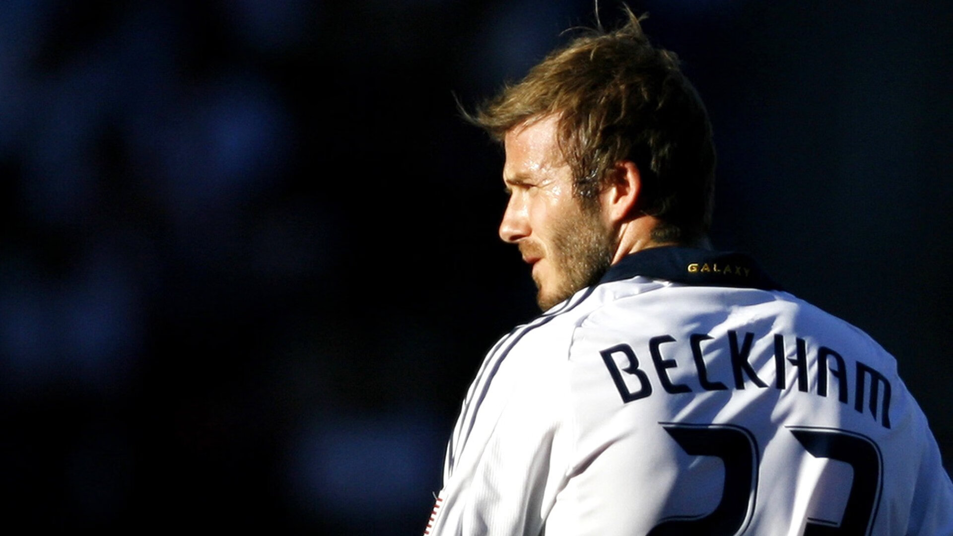 《顶级战队签约仪式：明星阵容全面曝光》，顶尖战队口号