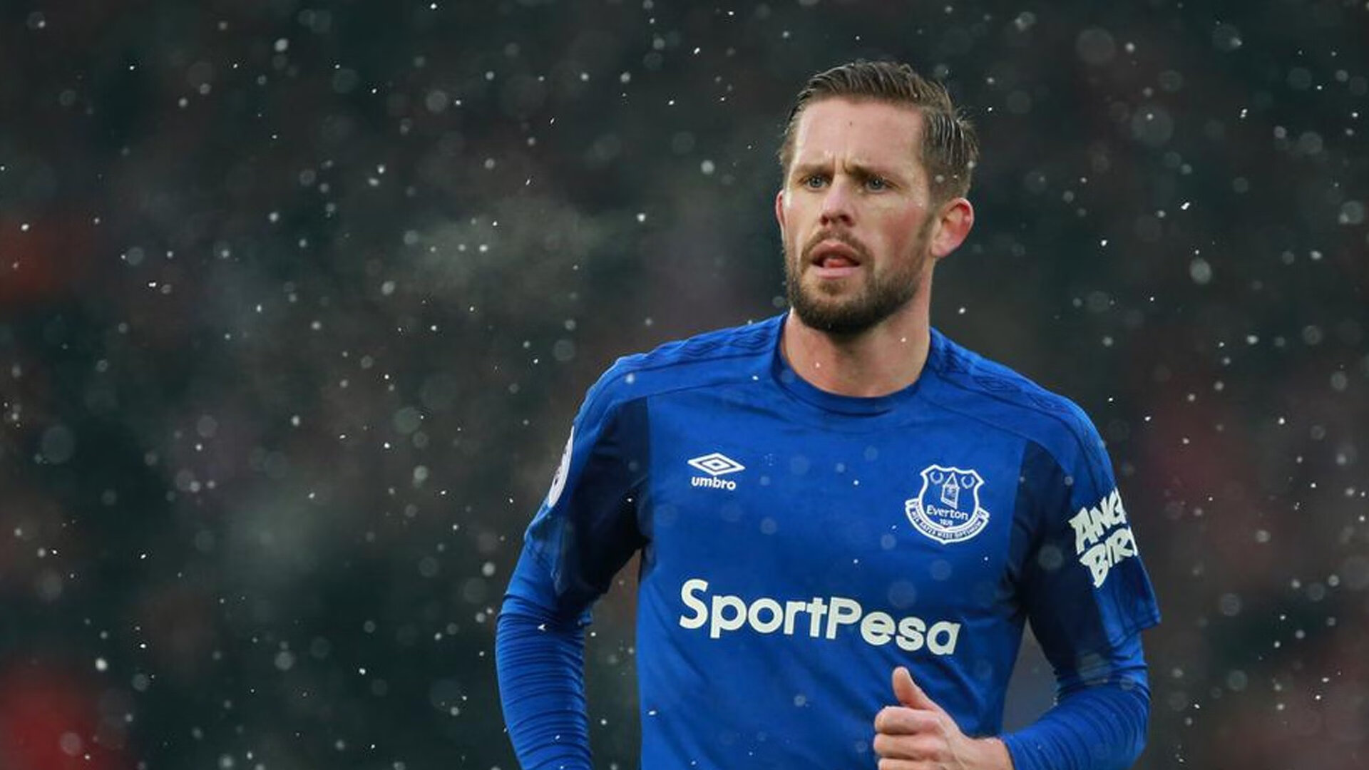 逆境奋战：那些不服输的冠军队伍故事，逆境不败