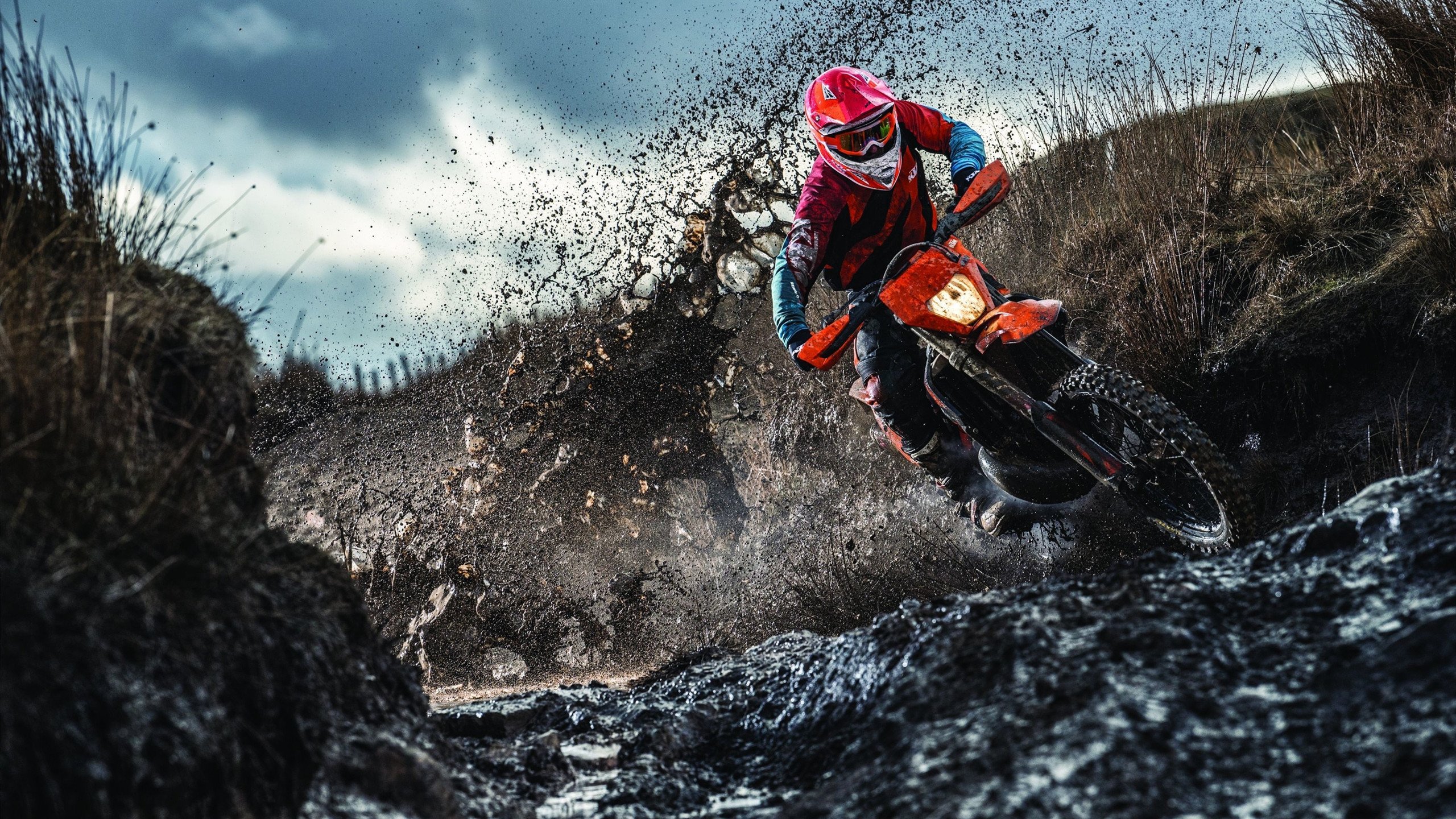 逆境奋战：那些不服输的冠军队伍故事，逆境不败