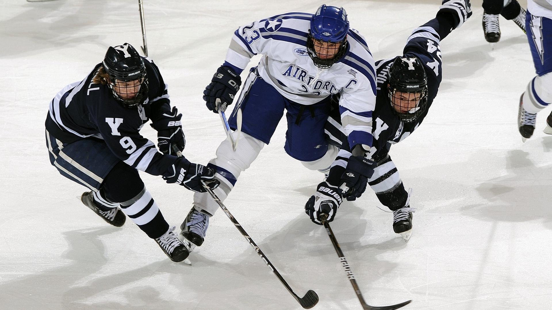 避难所体育节:灾难中的坚持与希望